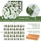 Wrapables Christmas Holiday Gift Wrap Paper Sheets Folded Flat 20L x 27W inches (12 Sheets), Green Nature